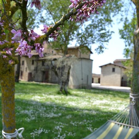 Agriturismo Nestore מראה חיצוני תמונה