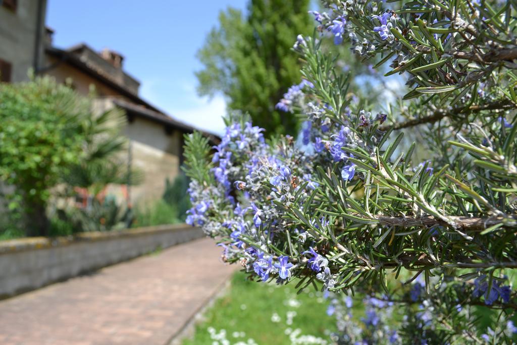 Agriturismo Nestore מראה חיצוני תמונה