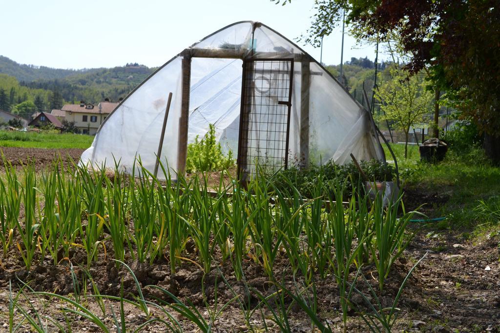 Agriturismo Nestore מראה חיצוני תמונה
