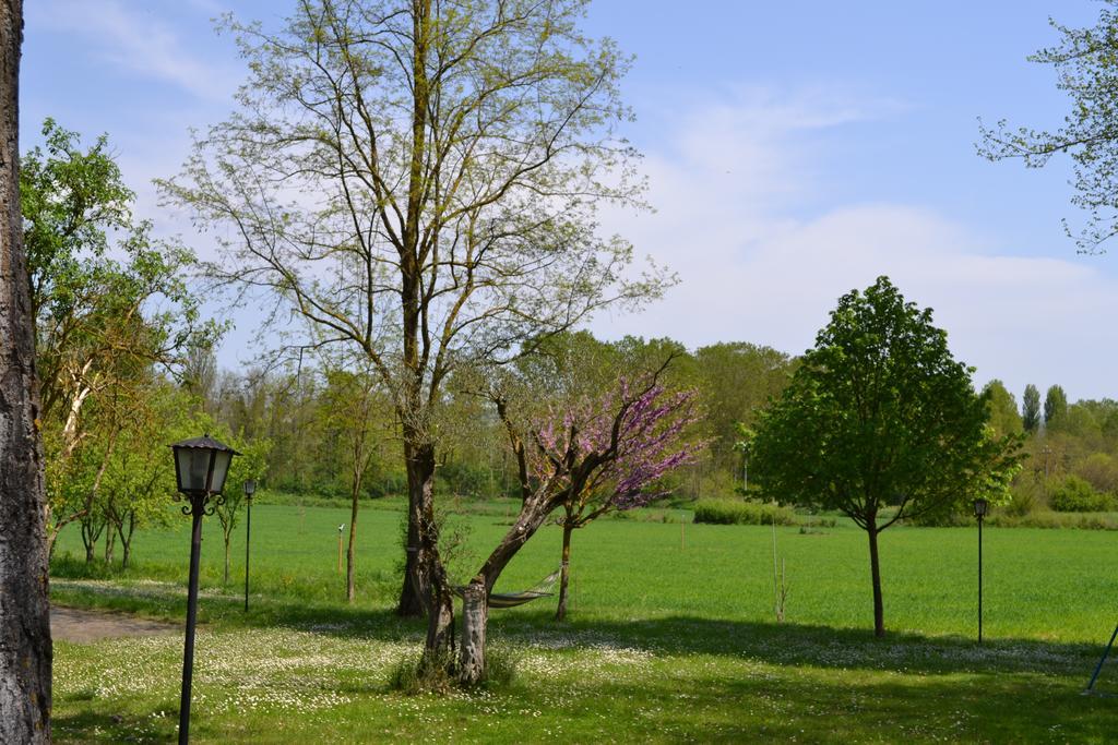 Agriturismo Nestore מראה חיצוני תמונה