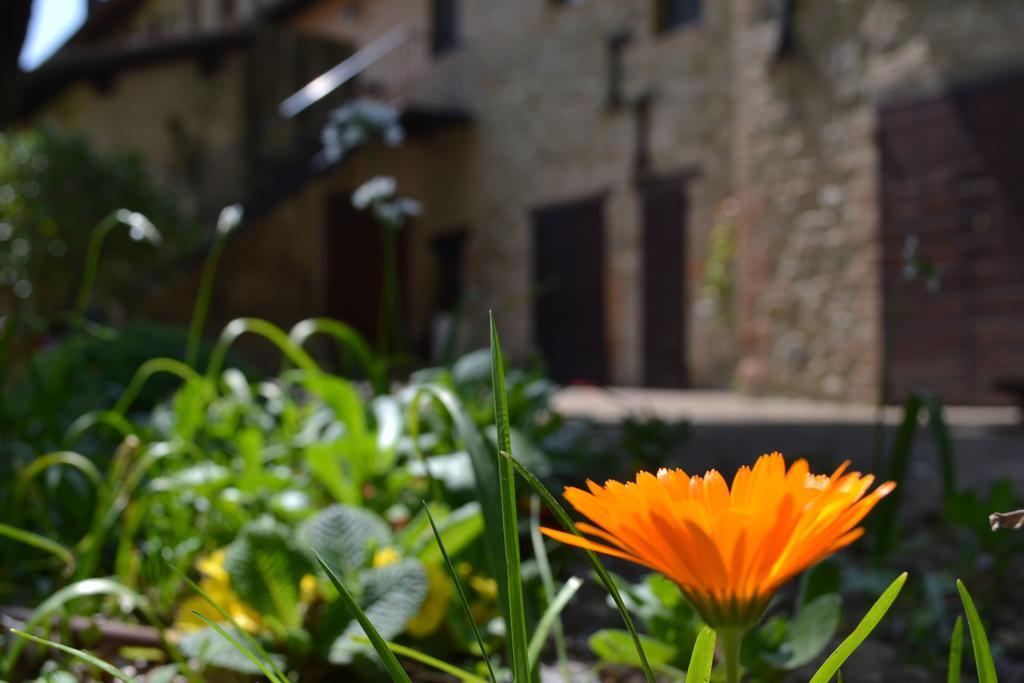 Agriturismo Nestore מראה חיצוני תמונה
