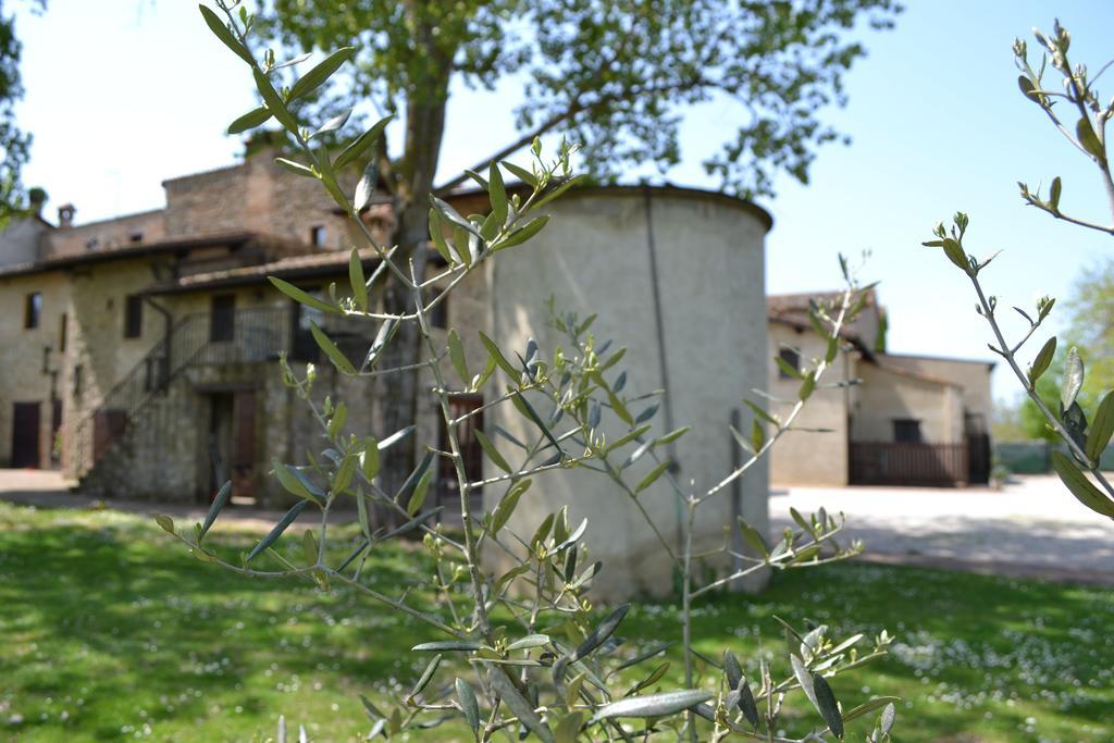 Agriturismo Nestore מראה חיצוני תמונה
