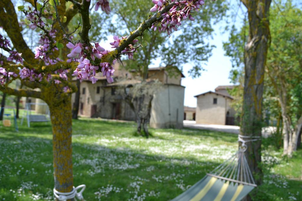 Agriturismo Nestore מראה חיצוני תמונה